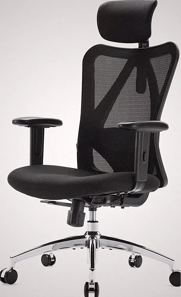 M18 Ergonomic Office Chair for Big and Tall People Adjustable Headrest with 2D A